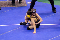 State Championship