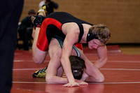 Dual West Fargo